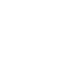 Theme icon